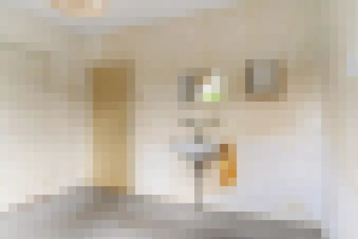 Holwerterdyk 8 Ternaard thumbnail 15