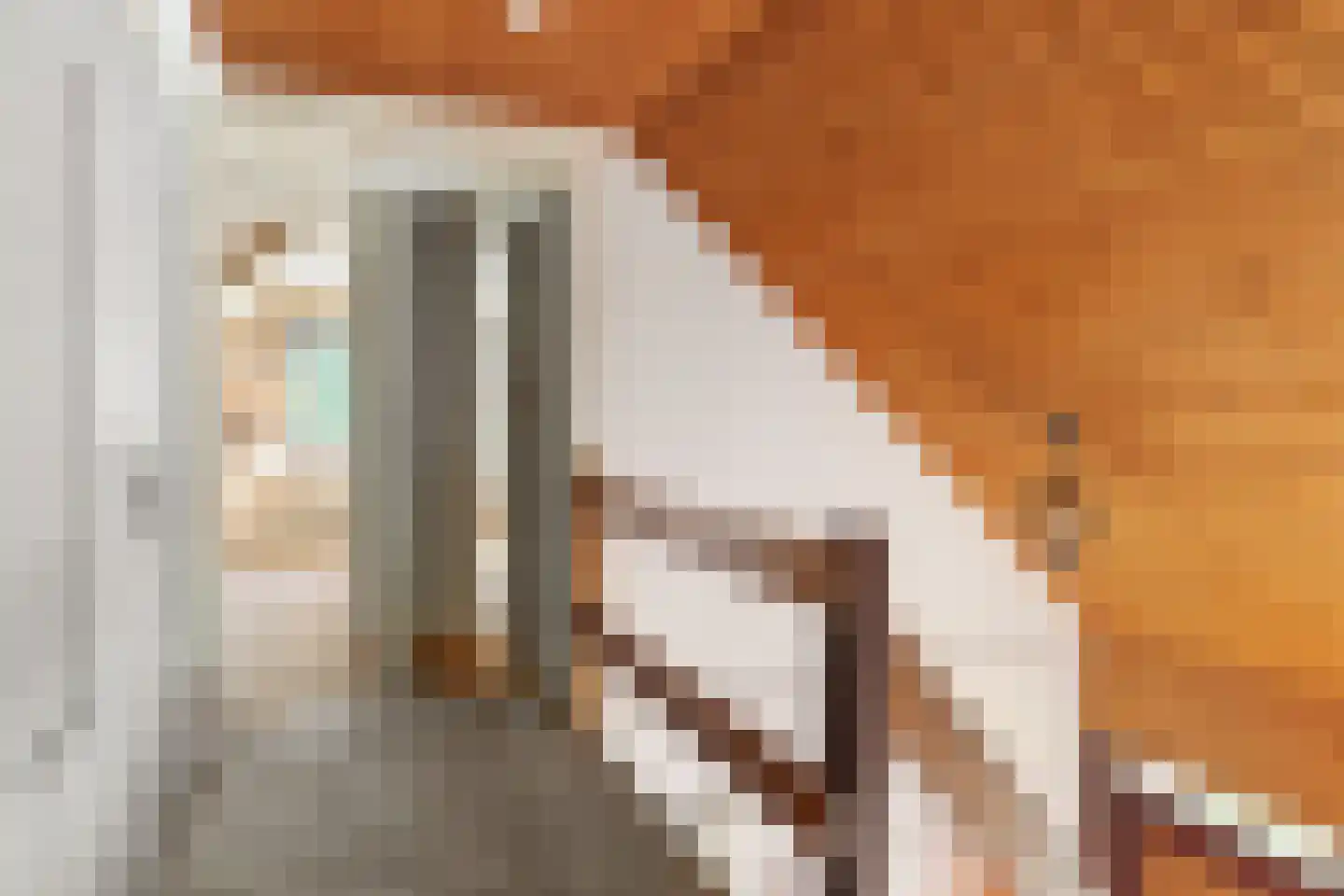 Holwerterdyk 8 Ternaard thumbnail 19
