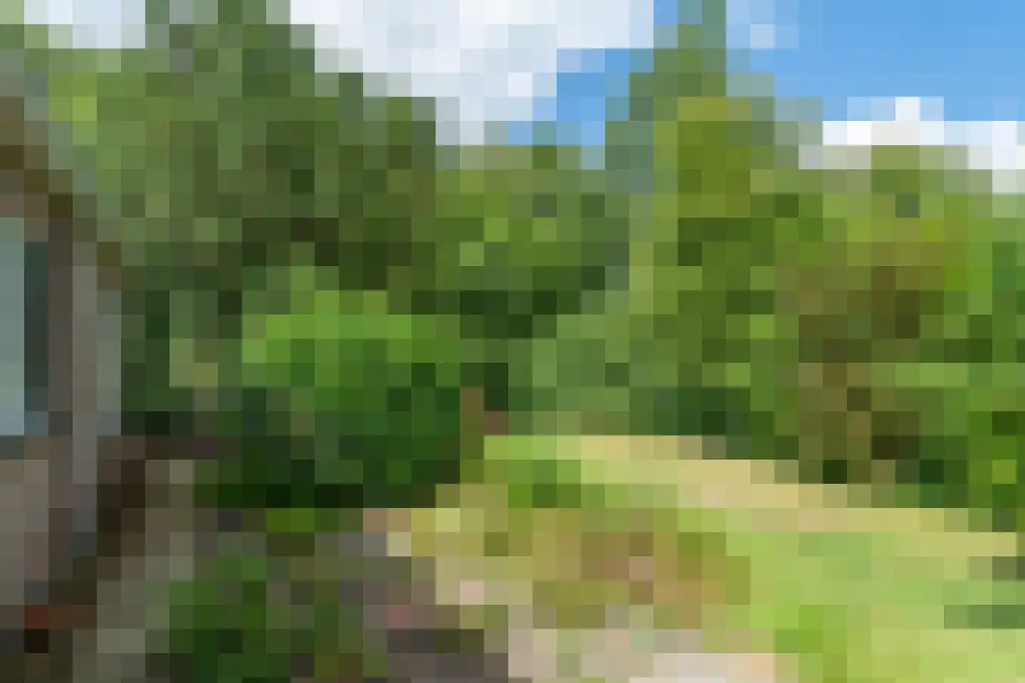 Holwerterdyk 8 Ternaard thumbnail 27
