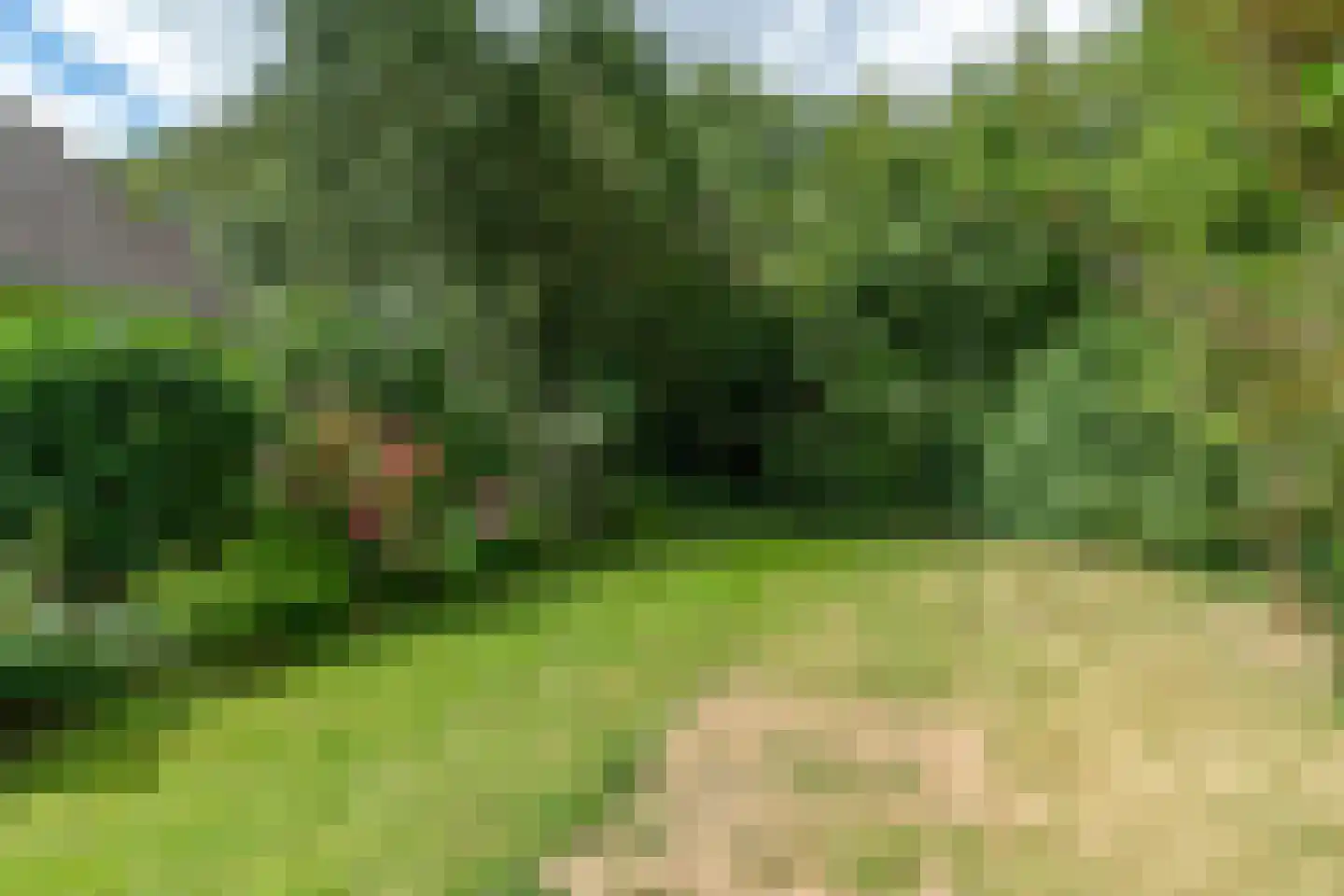 Holwerterdyk 8 Ternaard thumbnail 28