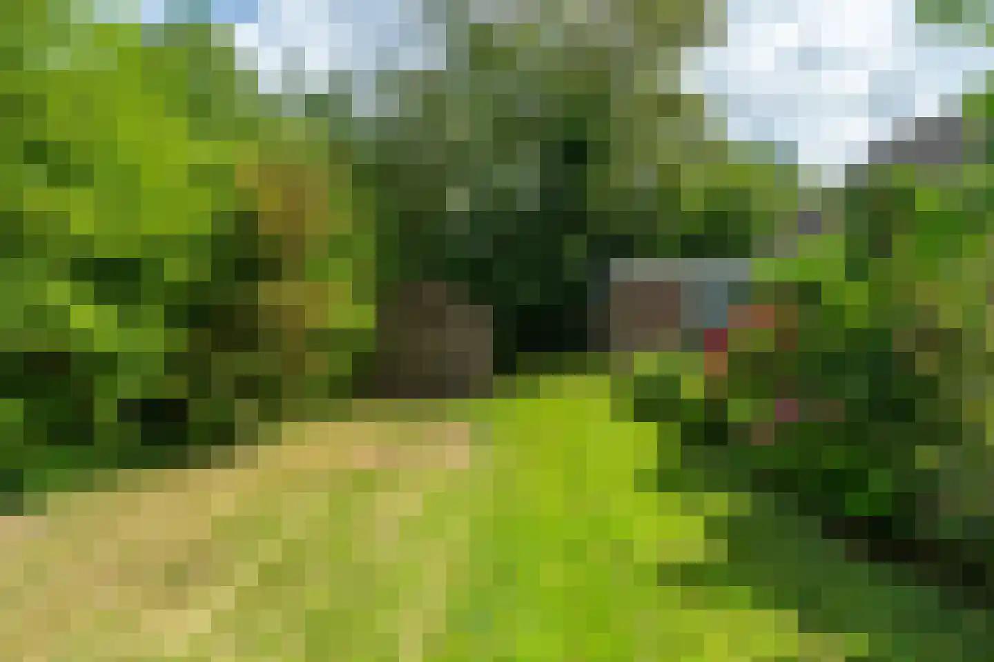Holwerterdyk 8 Ternaard thumbnail 29