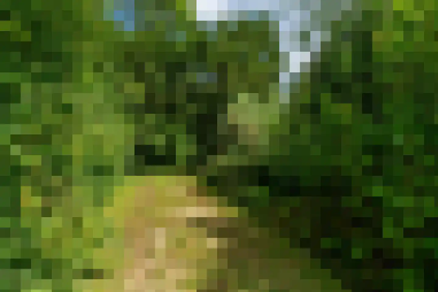 Holwerterdyk 8 Ternaard thumbnail 31