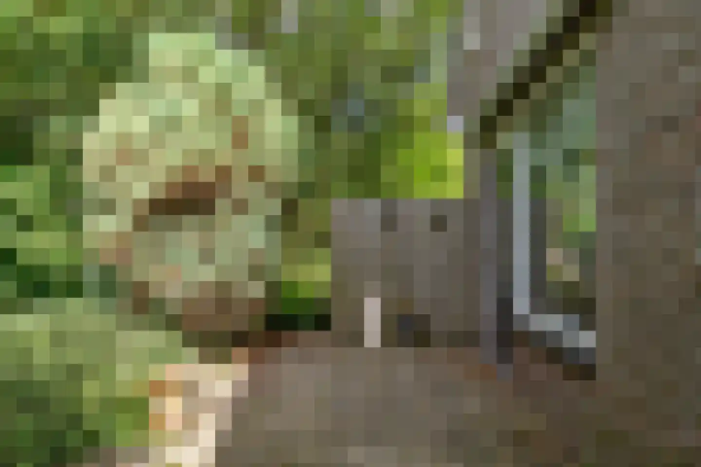 Holwerterdyk 8 Ternaard thumbnail 32