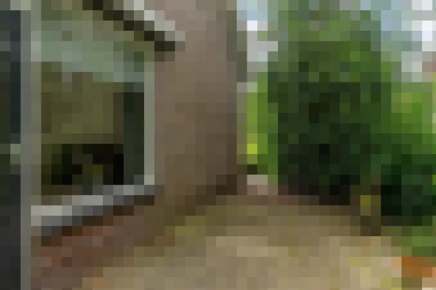 Holwerterdyk 8 Ternaard thumbnail 33