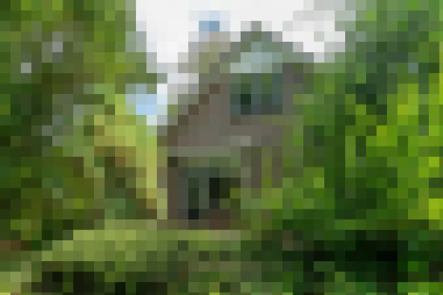 Holwerterdyk 8 Ternaard thumbnail 34