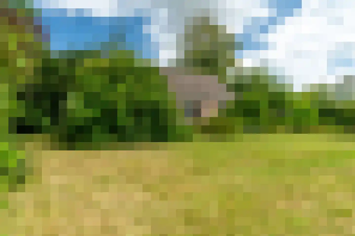 Holwerterdyk 8 Ternaard thumbnail 35