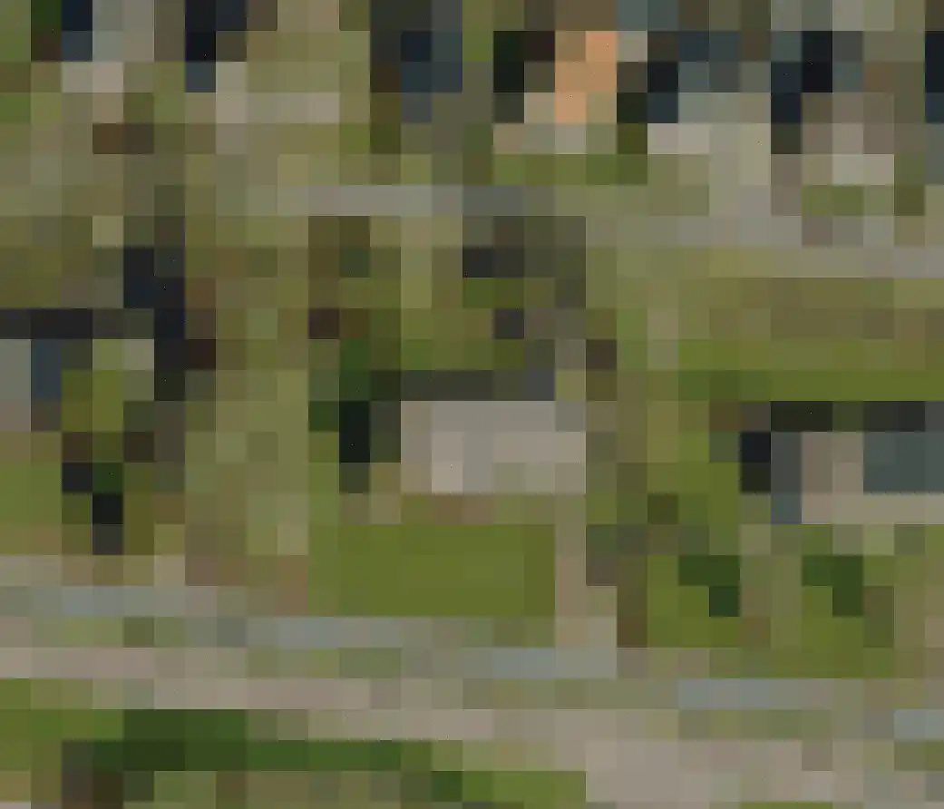 Holwerterdyk 8 Ternaard thumbnail 36