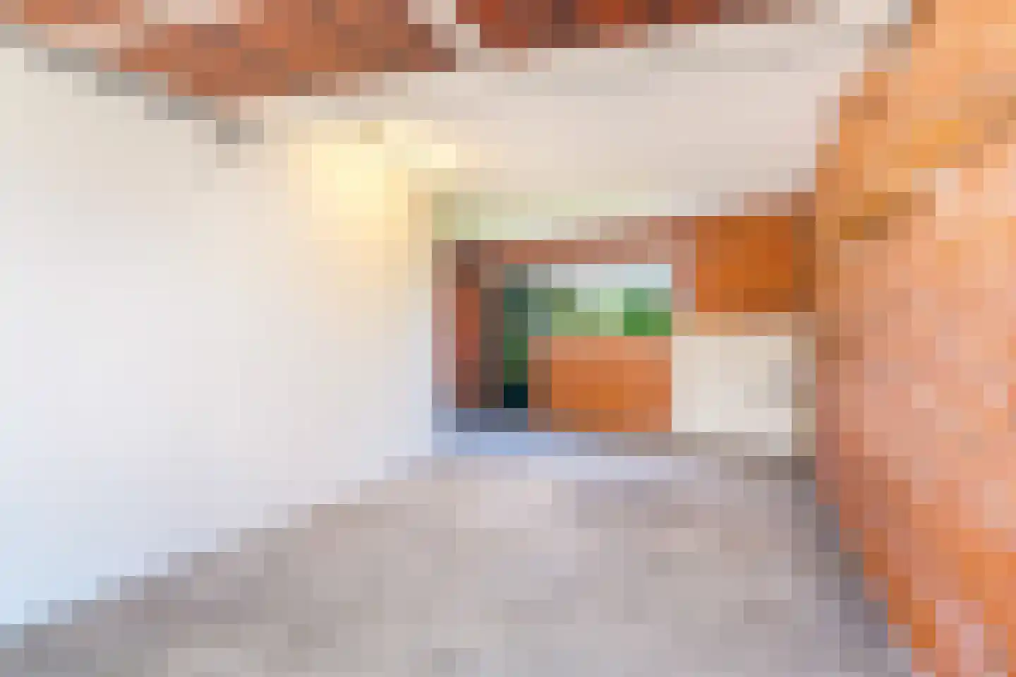 Holwierderweg 1 Appingedam thumbnail 43