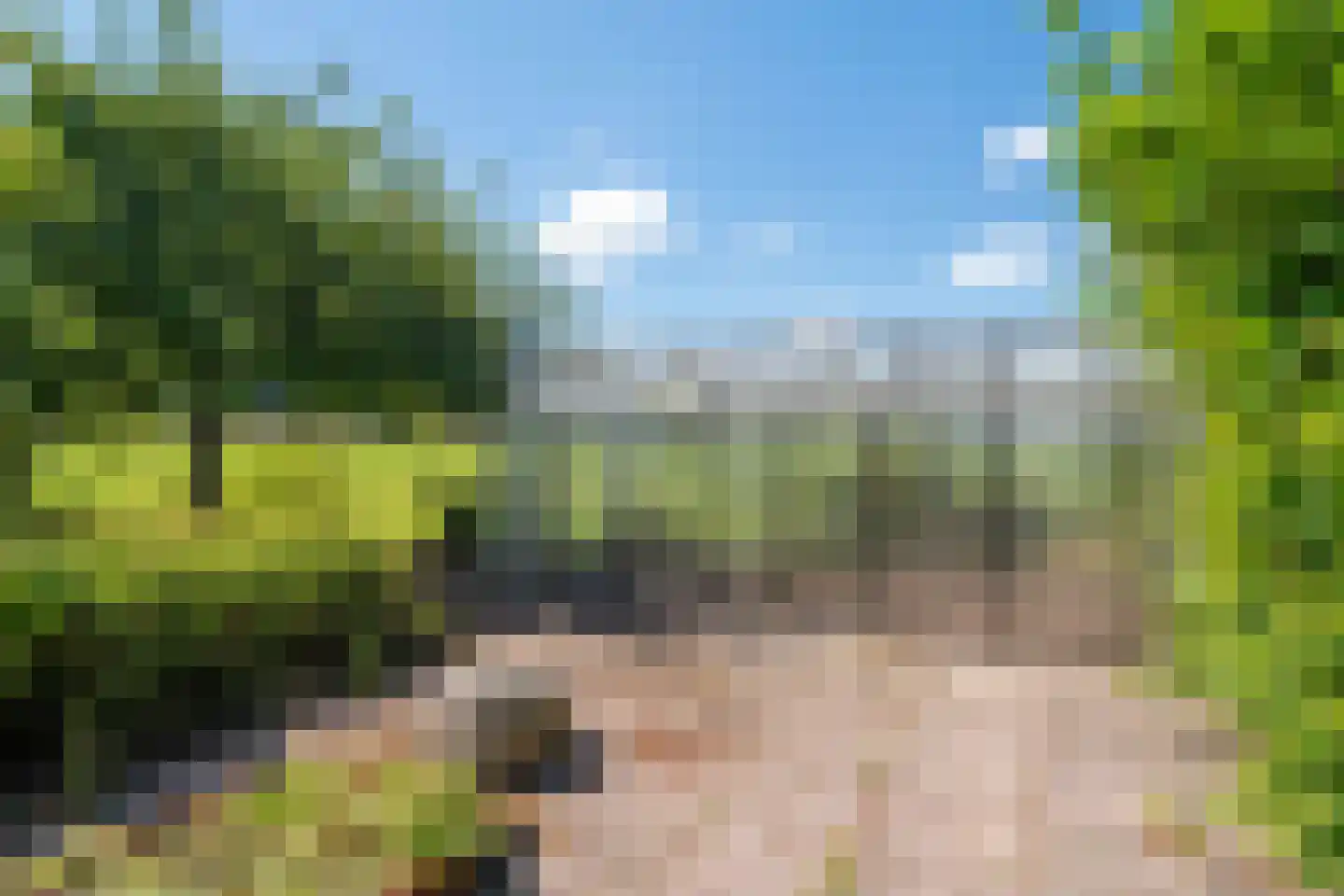 Holwierderweg 1 Appingedam thumbnail 49