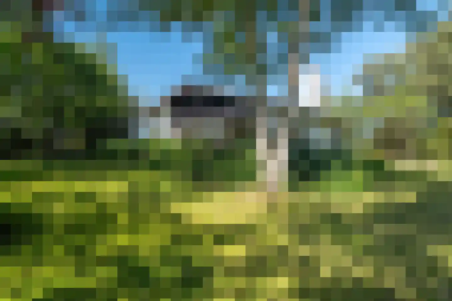 Holwierderweg 1 Appingedam thumbnail 52