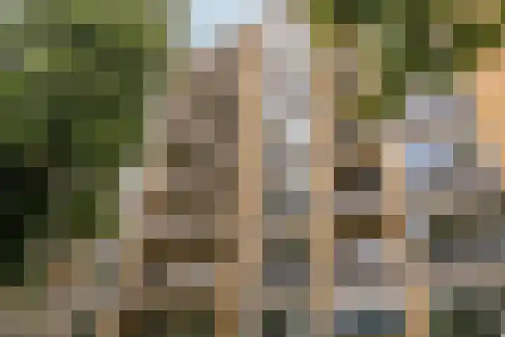 Holwierderweg 1 Appingedam thumbnail 53