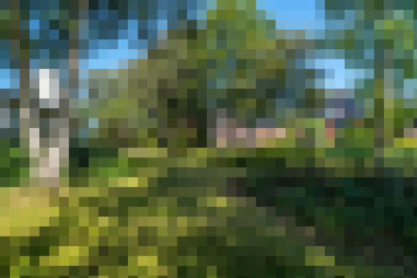 Holwierderweg 1 Appingedam thumbnail 53