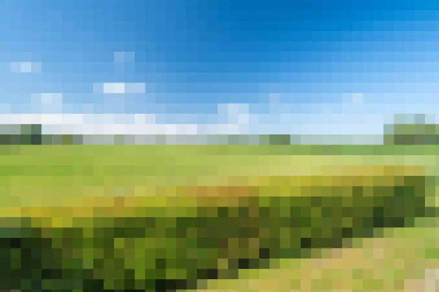 Holwierderweg 1 Appingedam thumbnail 6