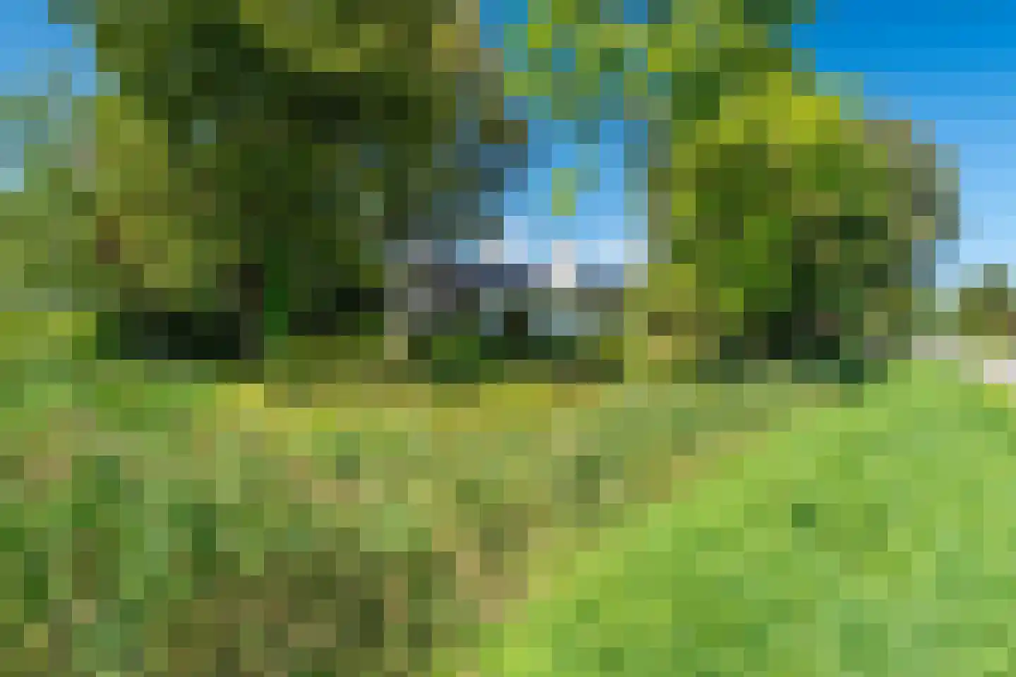 Holwierderweg 1 Appingedam thumbnail 8