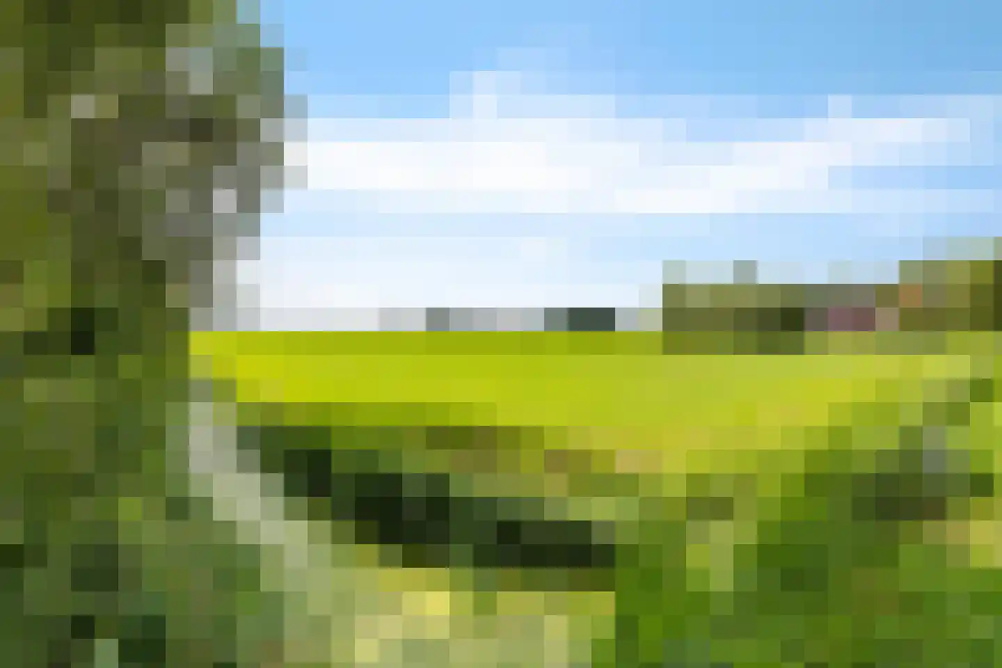 Holwierderweg 10 Appingedam thumbnail 13