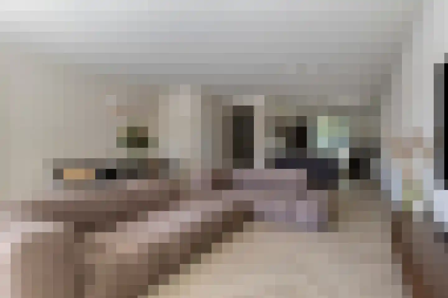 Holwinde 2 Hoogvliet Rotterdam thumbnail 15