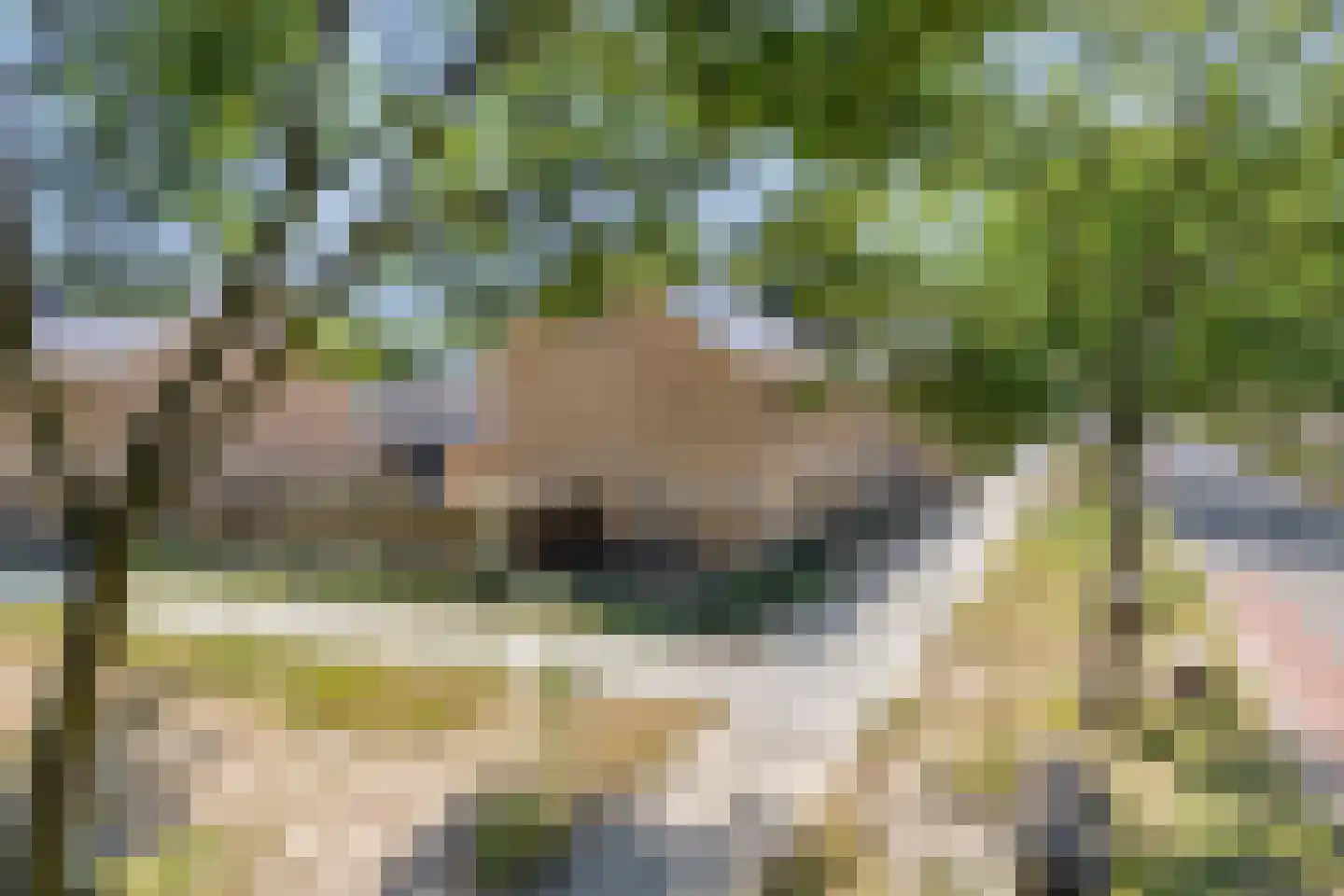 Holwinde 2 Hoogvliet Rotterdam thumbnail 6