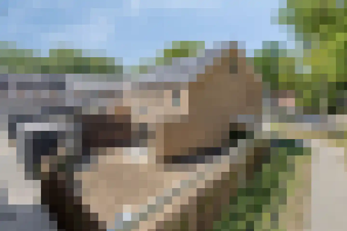 Holwinde 2 Hoogvliet Rotterdam thumbnail 7