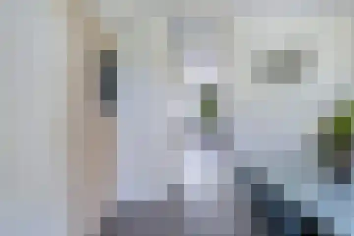 Holwoartelstrjitte 10 Koarnjum thumbnail 14