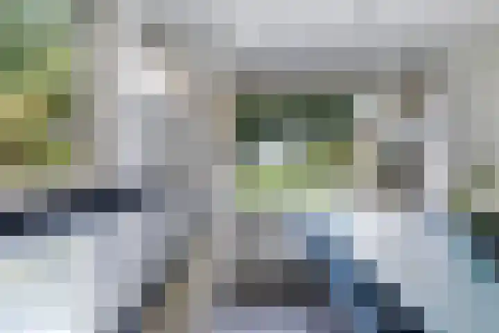 Holwoartelstrjitte 10 Koarnjum thumbnail 16