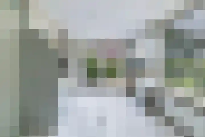 Holwoartelstrjitte 10 Koarnjum thumbnail 22