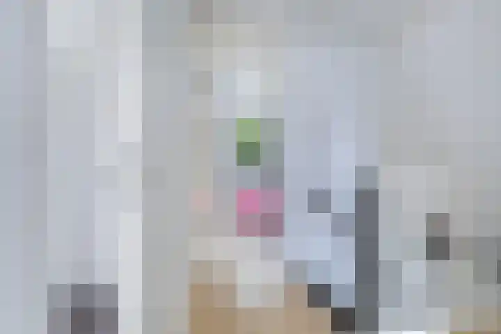 Holwoartelstrjitte 10 Koarnjum thumbnail 23