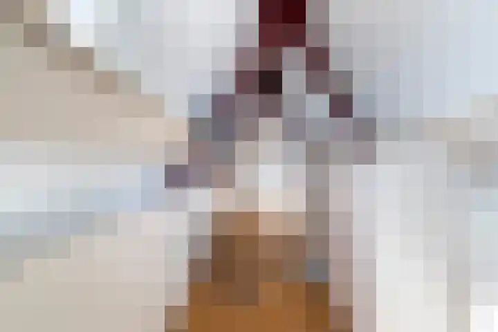 Holwoartelstrjitte 10 Koarnjum thumbnail 35