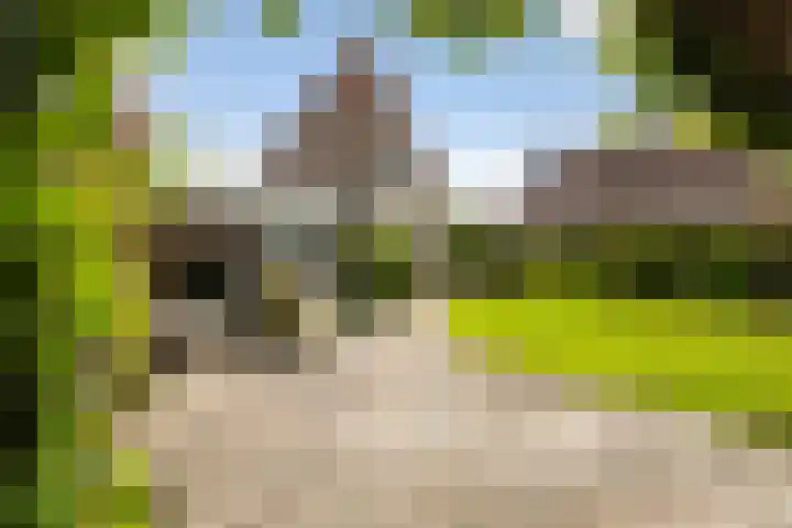 Holwoartelstrjitte 10 Koarnjum thumbnail 37