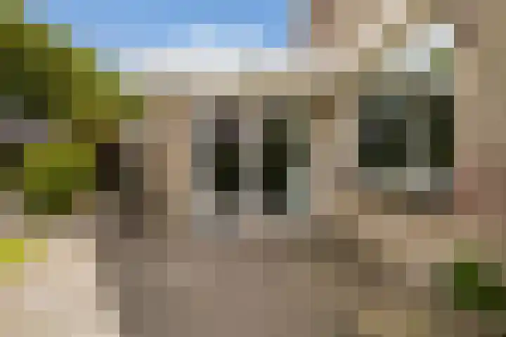 Holwoartelstrjitte 10 Koarnjum thumbnail 38