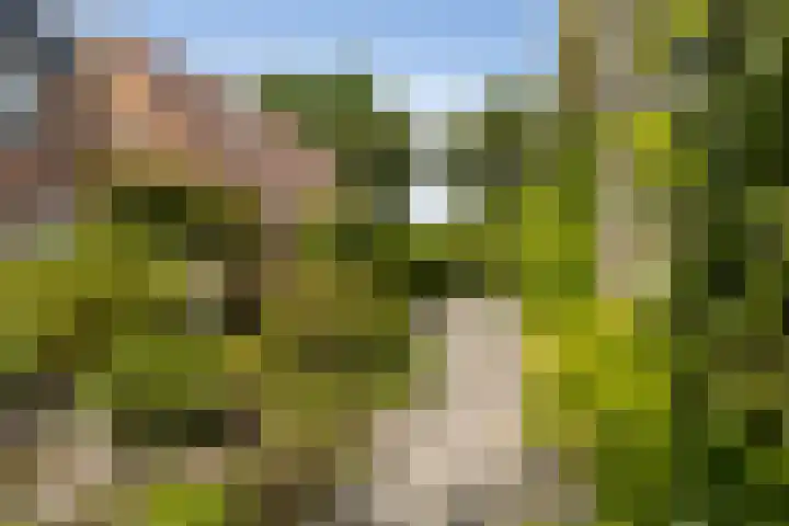 Holwoartelstrjitte 10 Koarnjum thumbnail 39