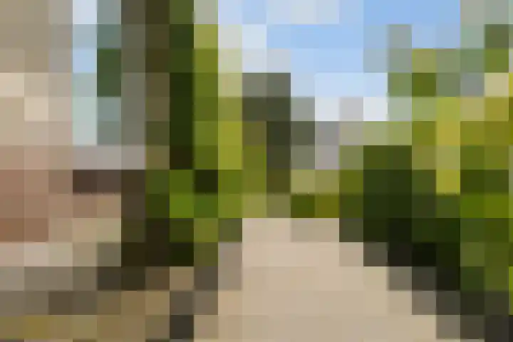 Holwoartelstrjitte 10 Koarnjum thumbnail 40