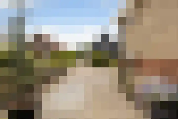 Holwoartelstrjitte 10 Koarnjum thumbnail 41
