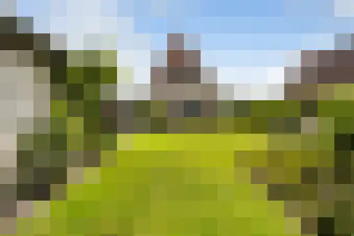 Holwoartelstrjitte 10 Koarnjum thumbnail 42