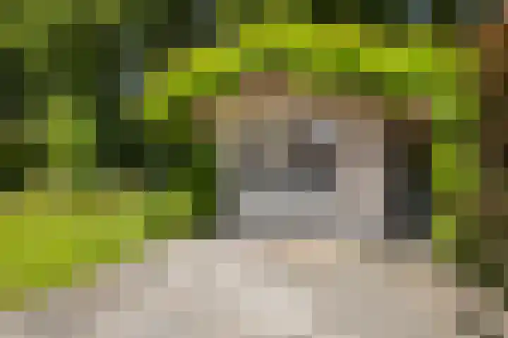 Holwoartelstrjitte 10 Koarnjum thumbnail 43