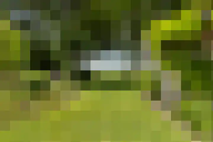 Holwoartelstrjitte 10 Koarnjum thumbnail 44