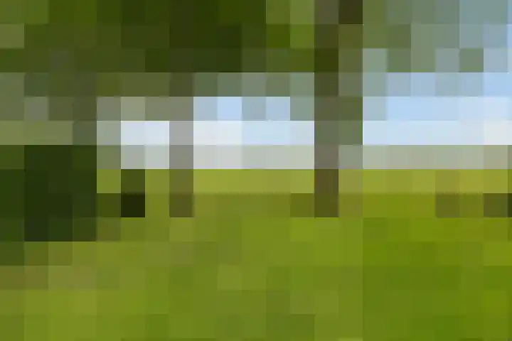 Holwoartelstrjitte 10 Koarnjum thumbnail 45