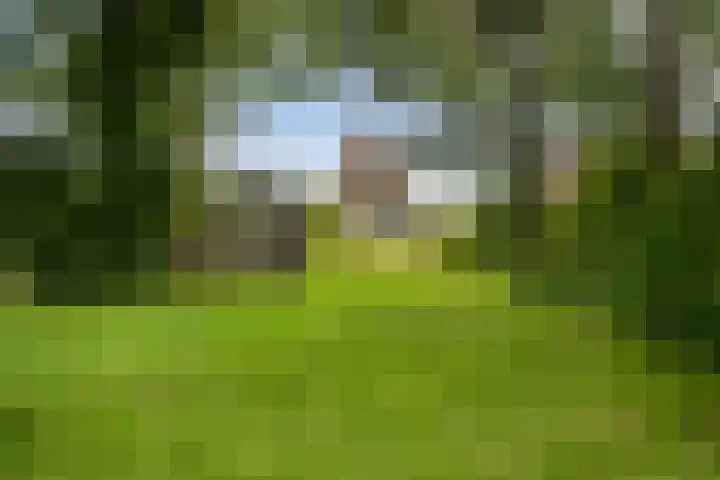 Holwoartelstrjitte 10 Koarnjum thumbnail 46