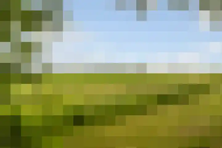Holwoartelstrjitte 10 Koarnjum thumbnail 47
