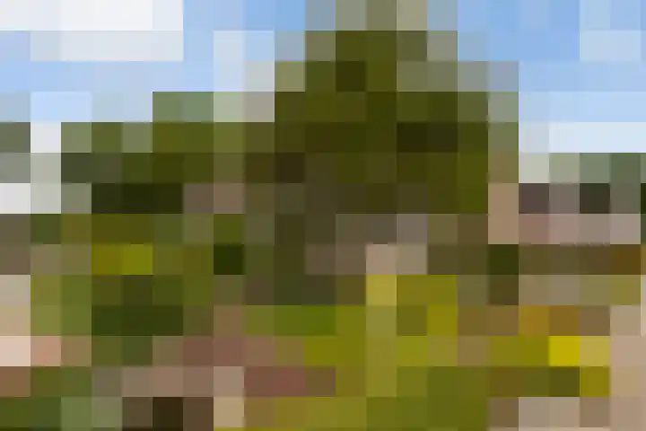 Holwoartelstrjitte 10 Koarnjum thumbnail 49