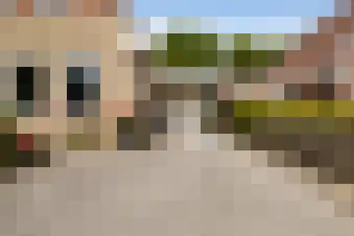 Holwoartelstrjitte 10 Koarnjum thumbnail 50