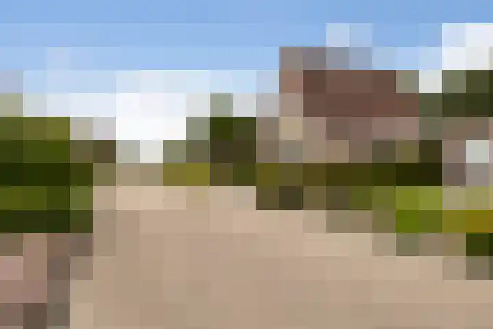 Holwoartelstrjitte 10 Koarnjum thumbnail 51