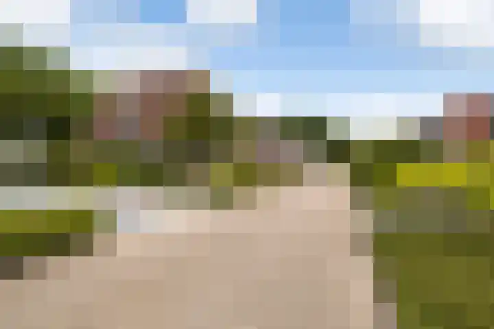 Holwoartelstrjitte 10 Koarnjum thumbnail 52