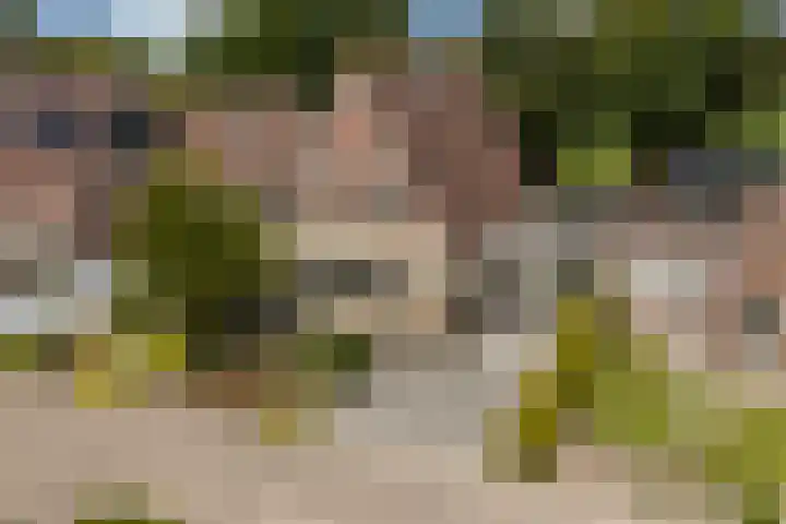 Holwoartelstrjitte 10 Koarnjum thumbnail 53