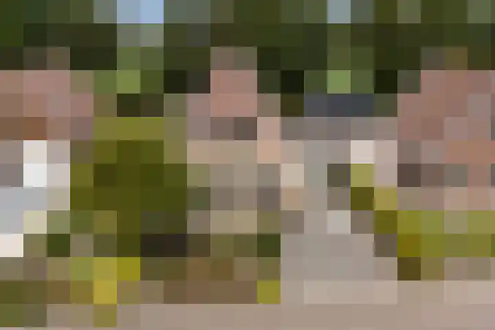 Holwoartelstrjitte 10 Koarnjum thumbnail 54