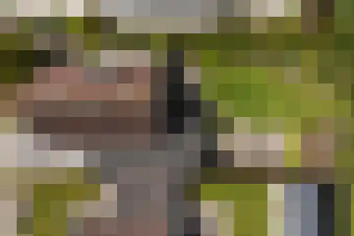 Holwoartelstrjitte 10 Koarnjum thumbnail 57