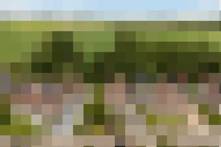Holwoartelstrjitte 10 Koarnjum thumbnail 58