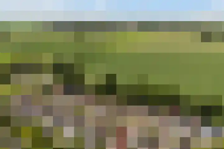 Holwoartelstrjitte 10 Koarnjum thumbnail 59