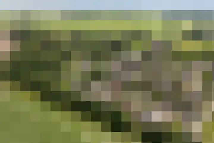 Holwoartelstrjitte 10 Koarnjum thumbnail 61