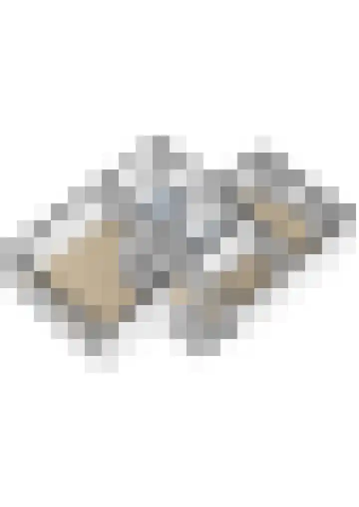 Holwoartelstrjitte 10 Koarnjum thumbnail 63