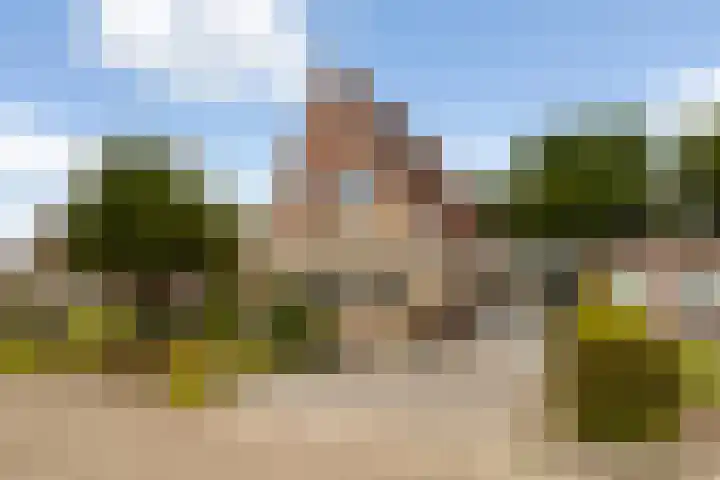 Holwoartelstrjitte 10 Koarnjum thumbnail 72